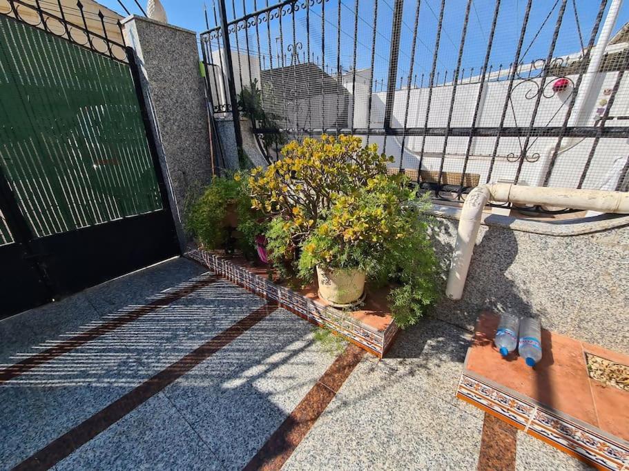 Marble Manor Guest House Los Alcazares Exterior photo